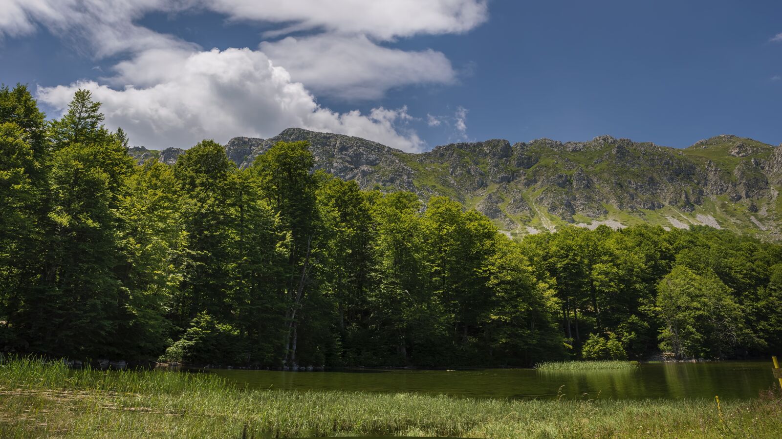 Tamron SP 24-70mm F2.8 Di VC USD sample photo. Green, mountain, landscape photography