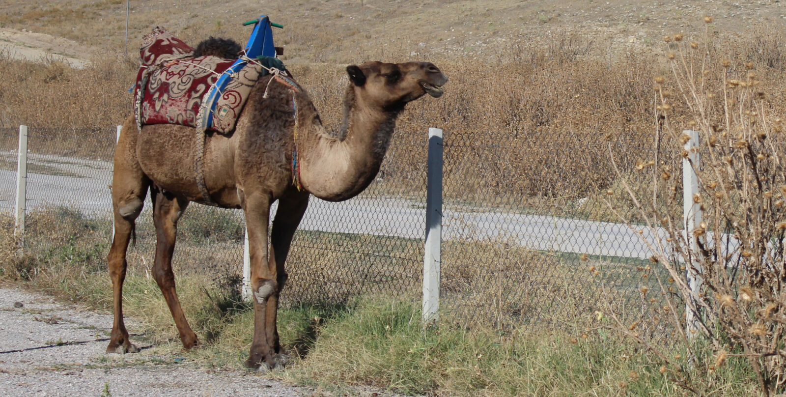 Canon EOS 600D (Rebel EOS T3i / EOS Kiss X5) sample photo. Ankara, village, trip, nomad photography