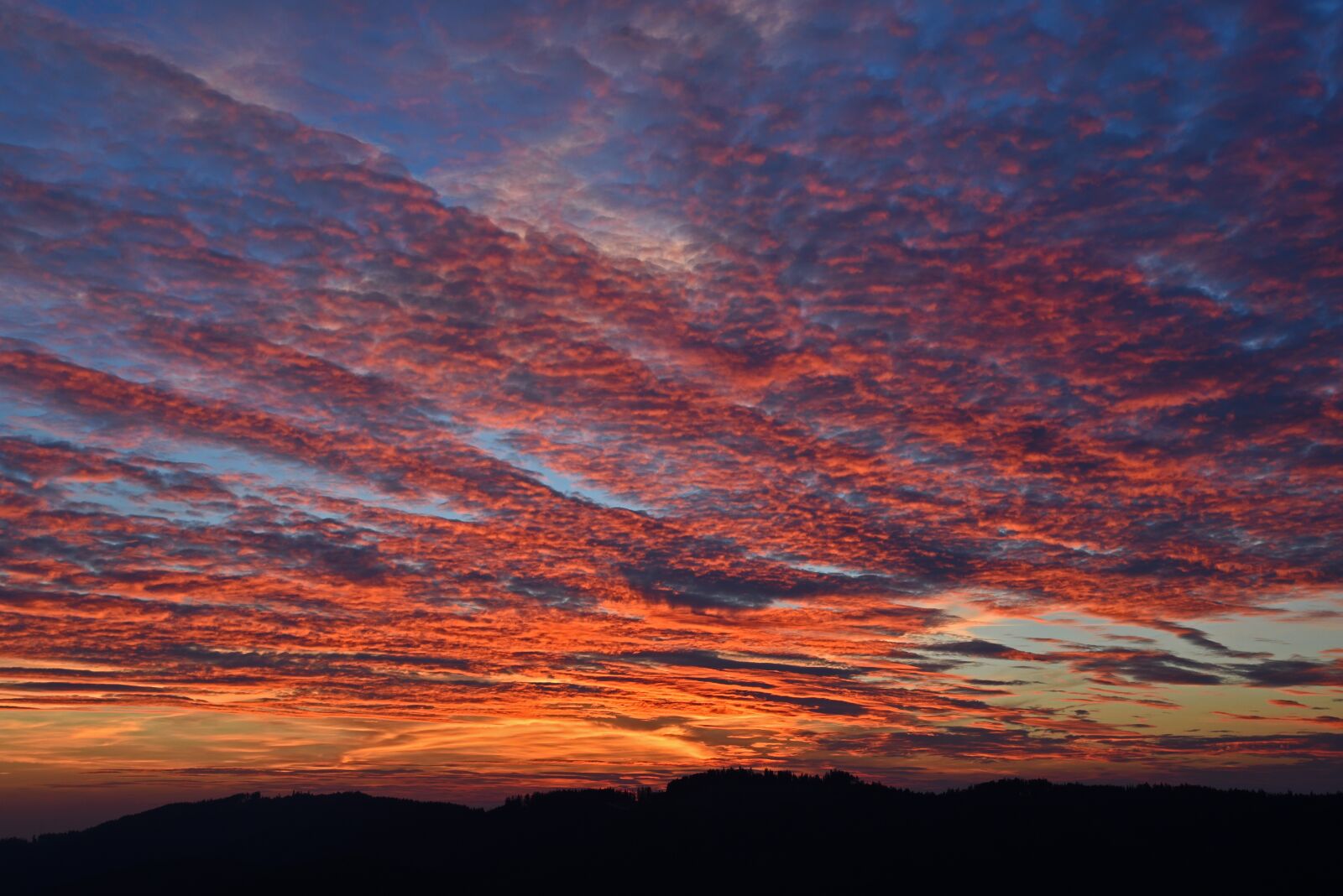 Nikon D750 sample photo. Sunset, sun, landscape photography