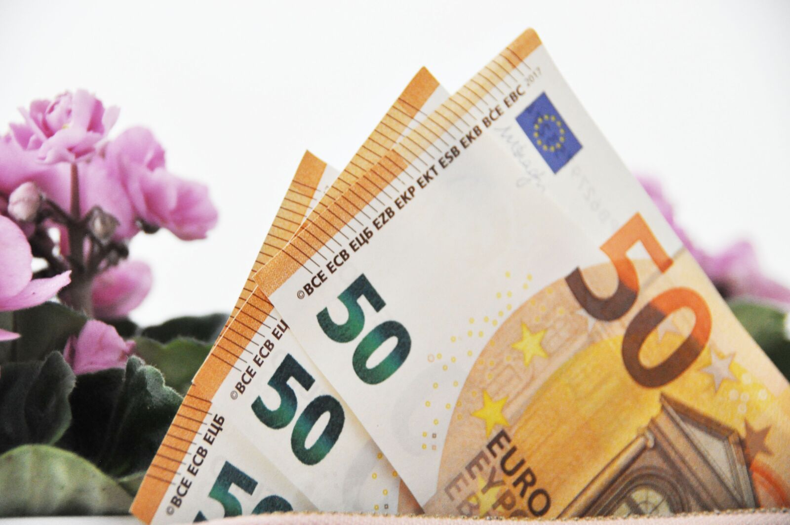 Nikon D90 sample photo. Euro, cash, wallet photography
