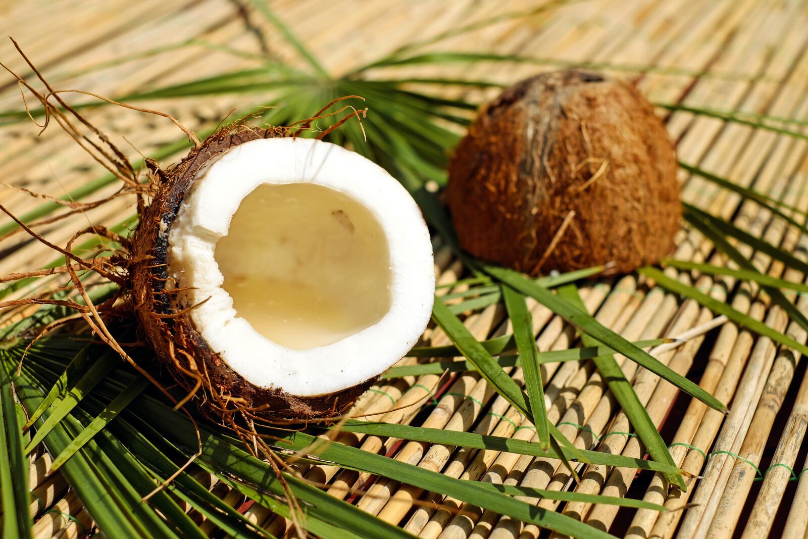 Fujifilm X-T10 + Fujifilm XF 35mm F1.4 R sample photo. Coconut, nut, shell photography
