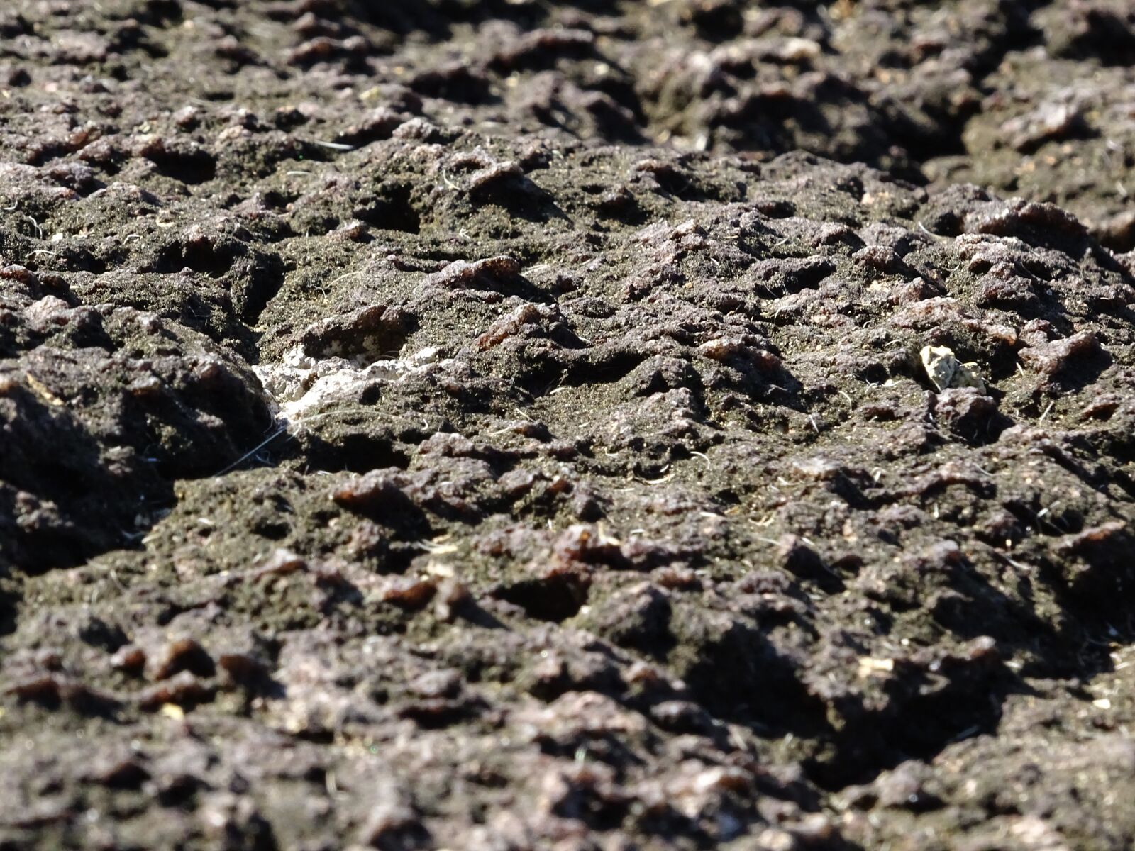 Sony Cyber-shot DSC-HX400V sample photo. Texture, rock, stone photography