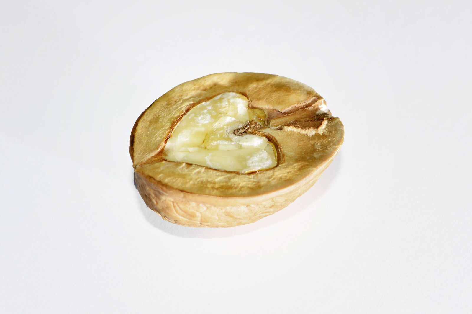 Nikon D3200 sample photo. Nut, walnut, nuts photography