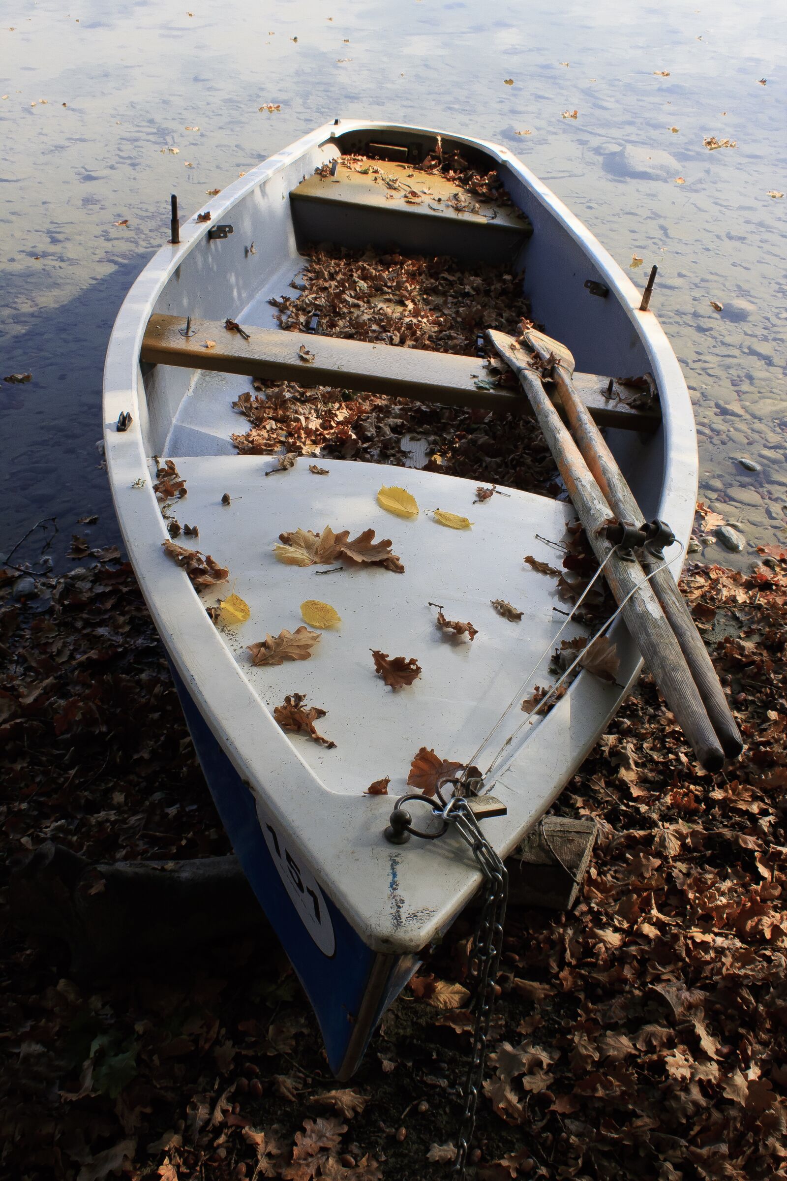 Canon EOS 1300D (EOS Rebel T6 / EOS Kiss X80) sample photo. Boat, paddle boat, paddle photography
