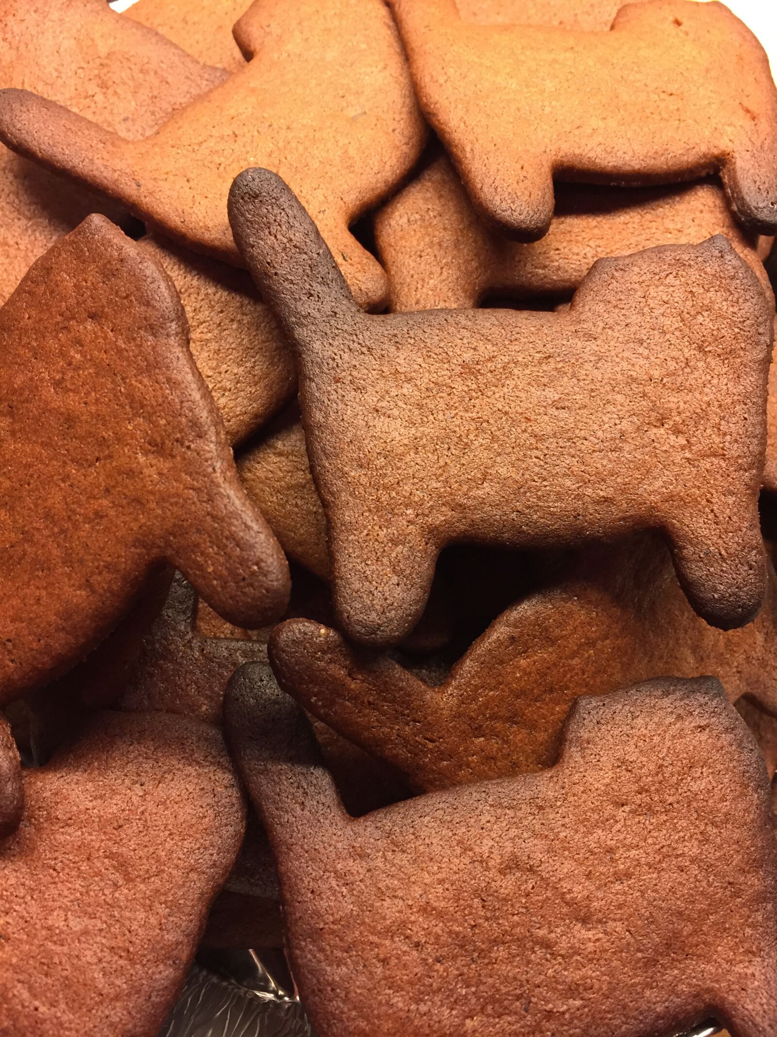 Apple iPhone 6 sample photo. Gingerbread, rear, baking photography