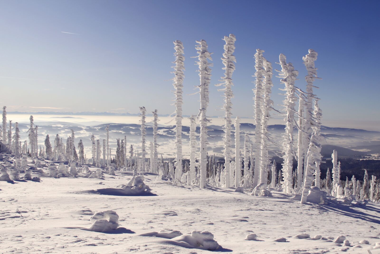 Canon EOS 50D sample photo. Bavarian forest, three chair photography