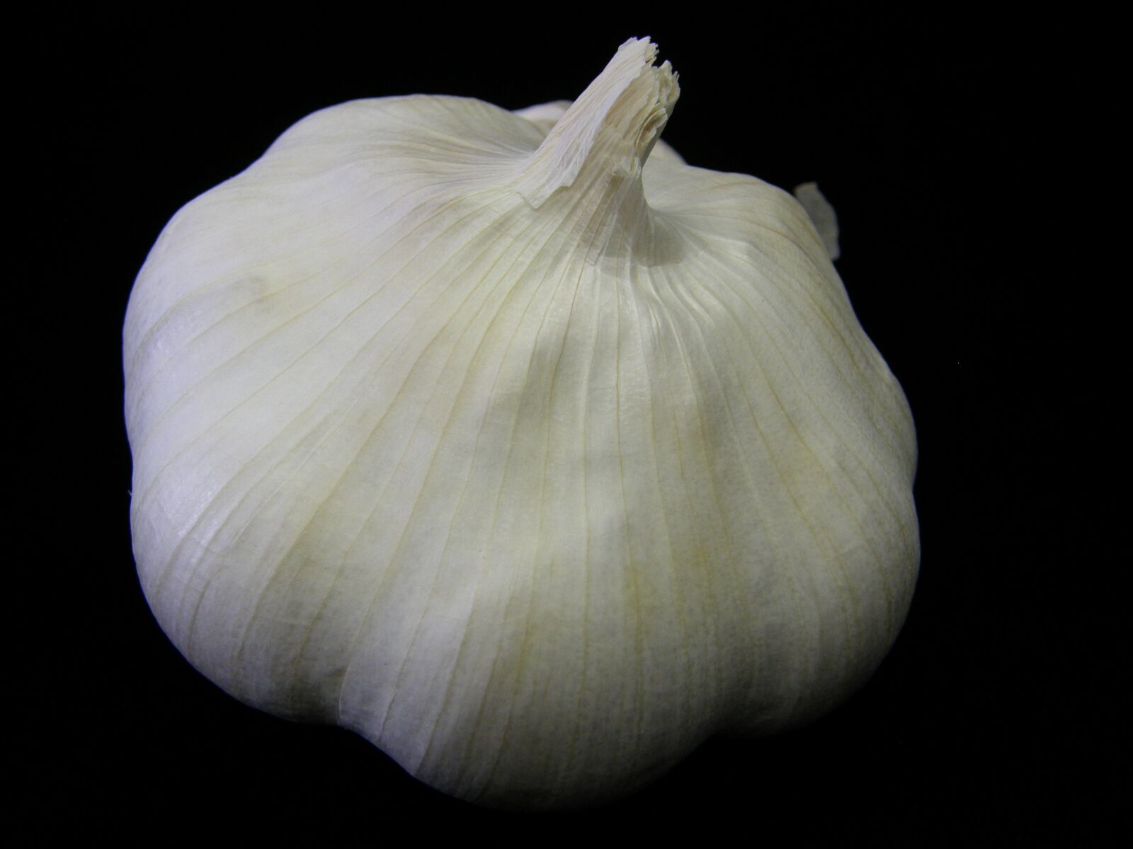 Olympus SP550UZ sample photo. Garlic, plant, bulb photography