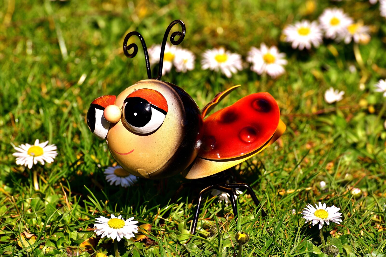 Nikon D7200 sample photo. Ladybug, metal, colorful photography