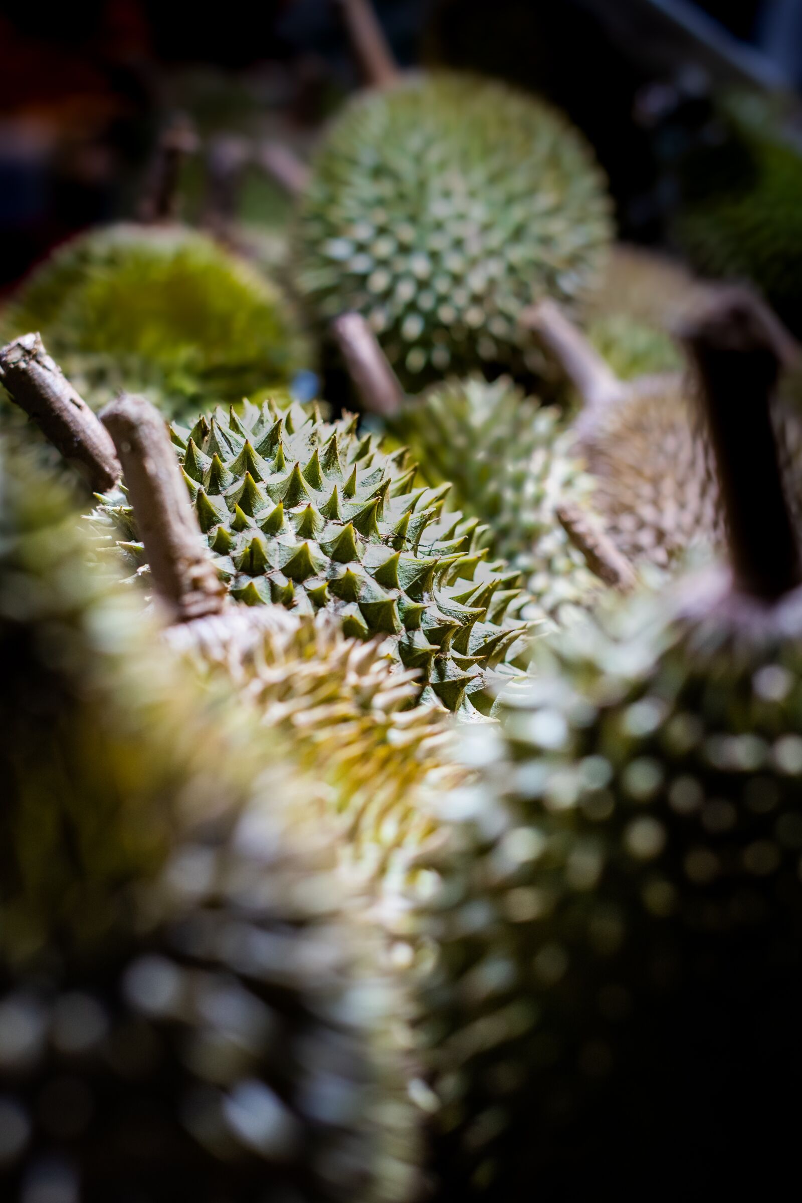 Nikon D500 sample photo. Durian, green, sweet photography