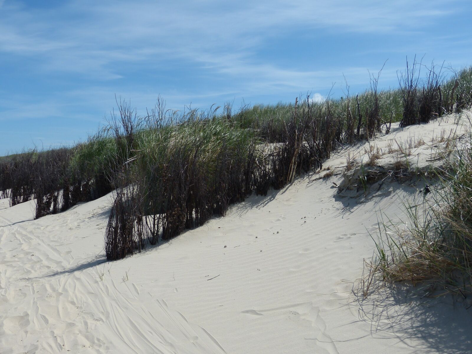 Panasonic Lumix DMC-FZ150 sample photo. Dune, sand, beach photography