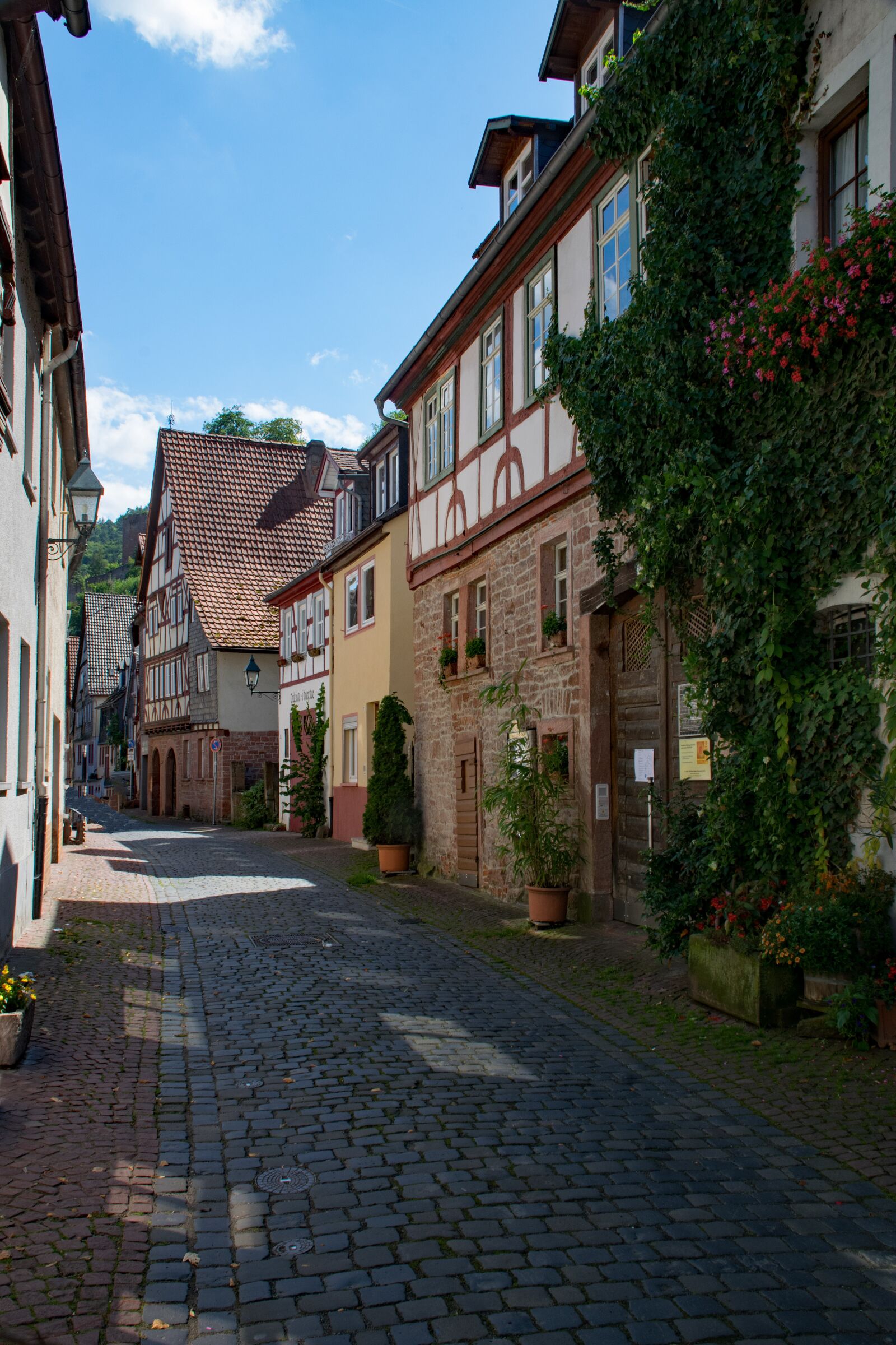 Nikon D5300 sample photo. Miltenberg, odenwald, bavaria photography