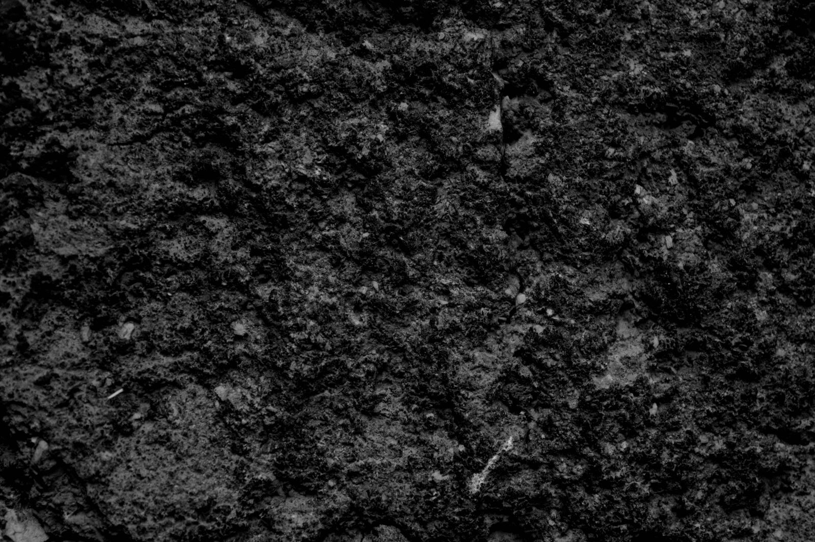 Nikon D3200 sample photo. Black, black, and, white photography