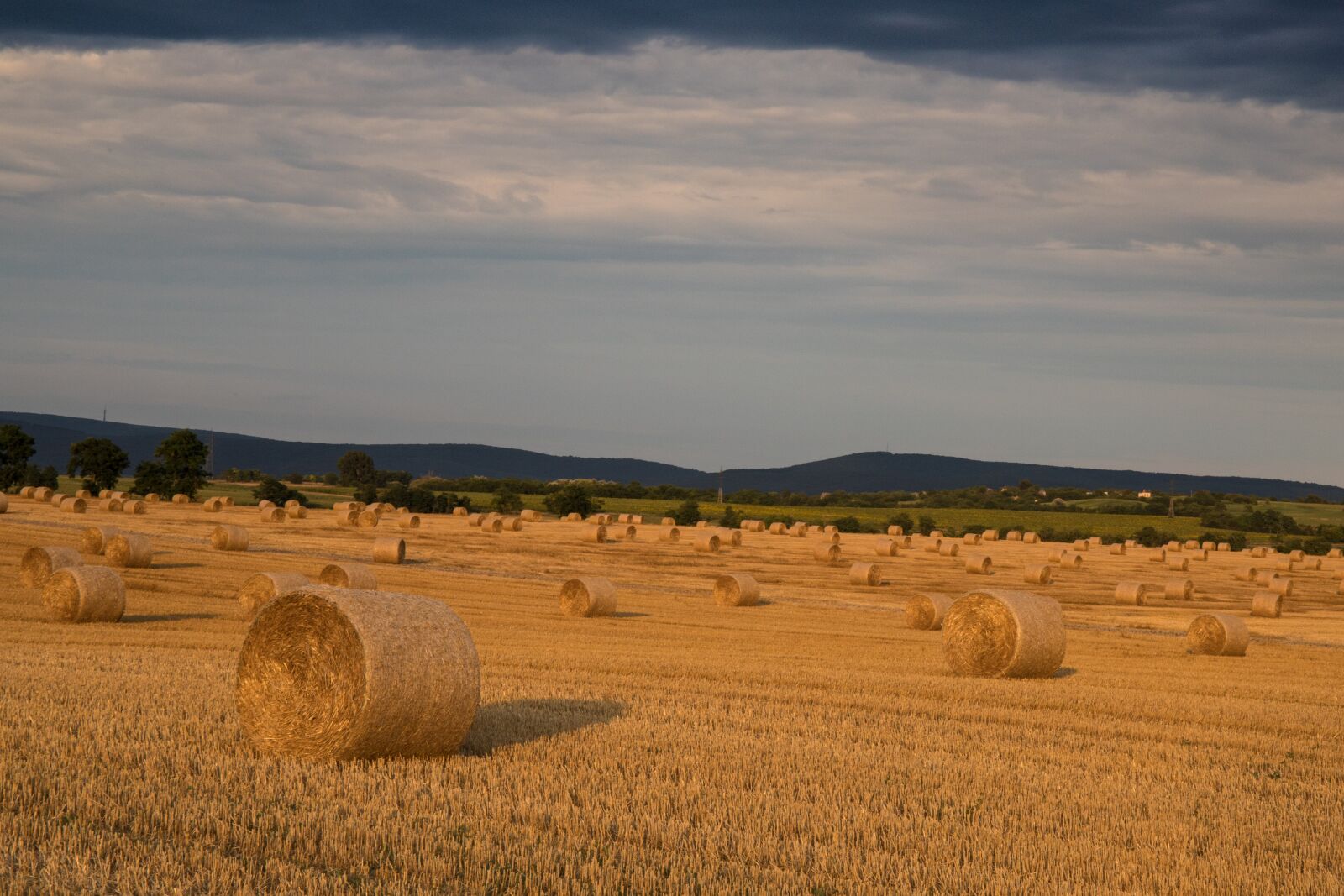 Canon EF 24-70mm F4L IS USM sample photo. Land, bale, straw photography