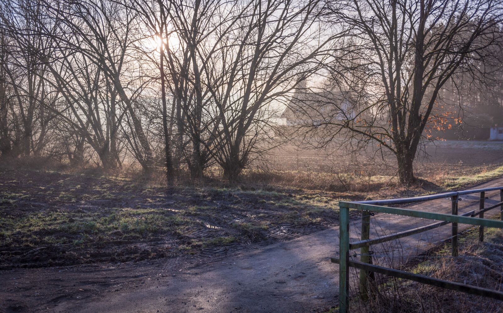 Nikon D750 sample photo. Sunrise, away, hof photography