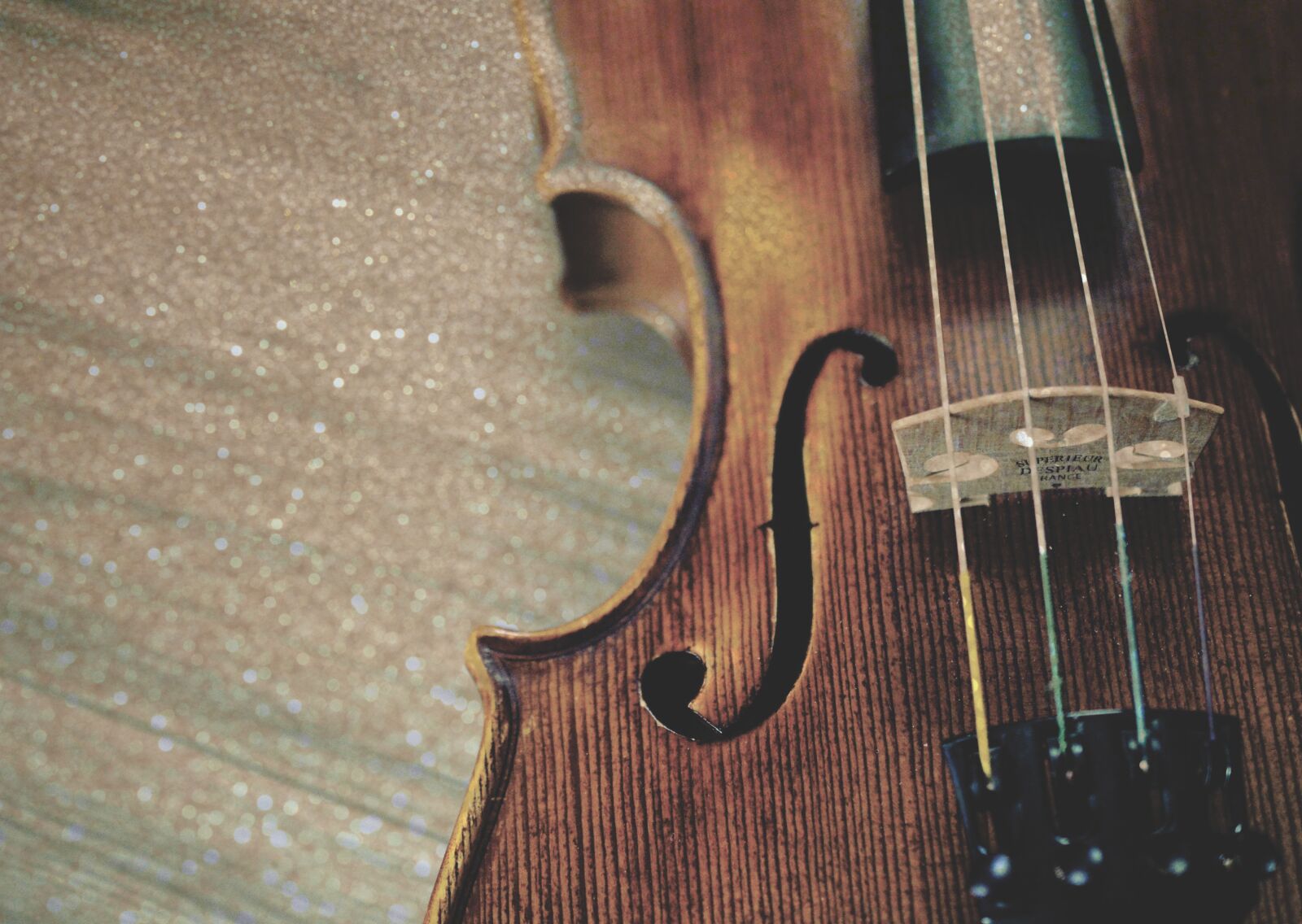 Nikon D3200 sample photo. Violin, fiddle, instrument photography