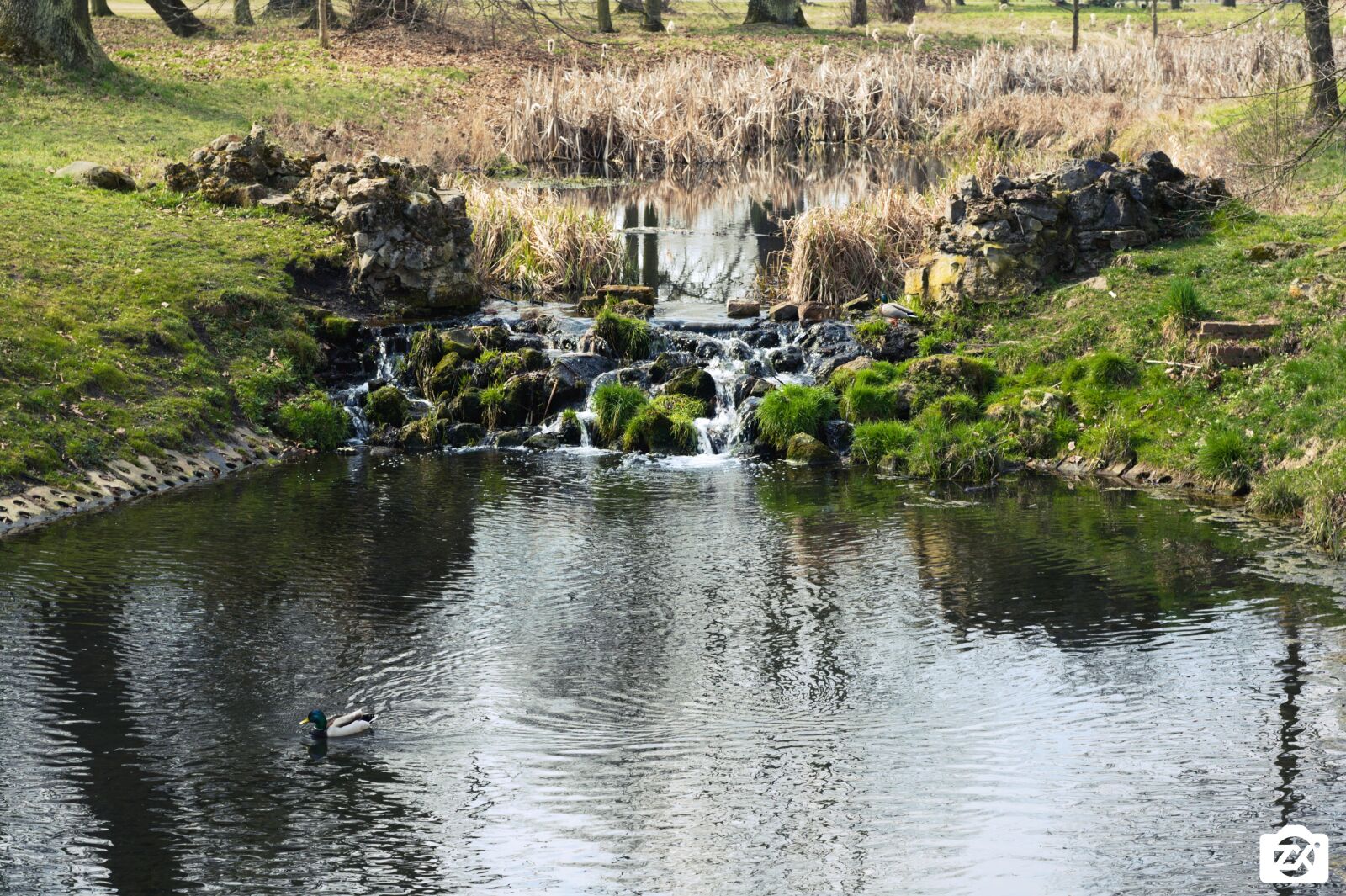 Canon EOS 400D (EOS Digital Rebel XTi / EOS Kiss Digital X) sample photo. Duck, river, waterfall photography
