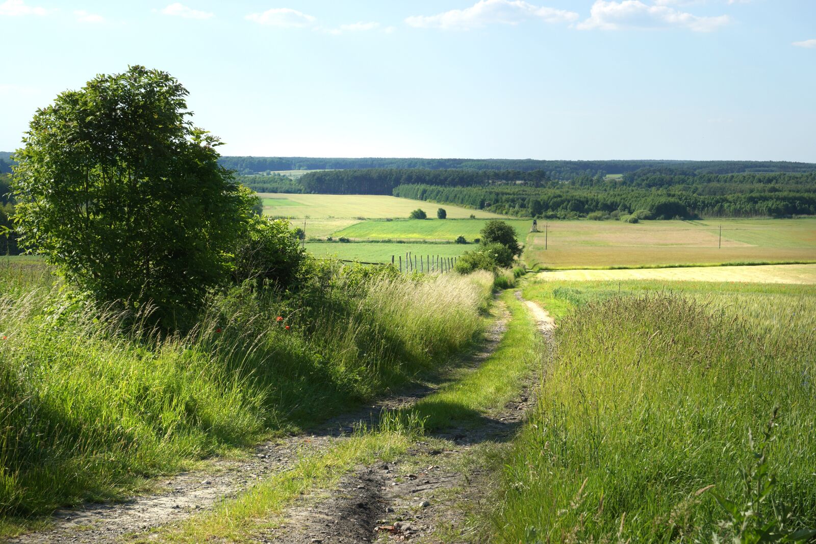 Sony SLT-A77 sample photo. Landscape, fields, agriculture photography