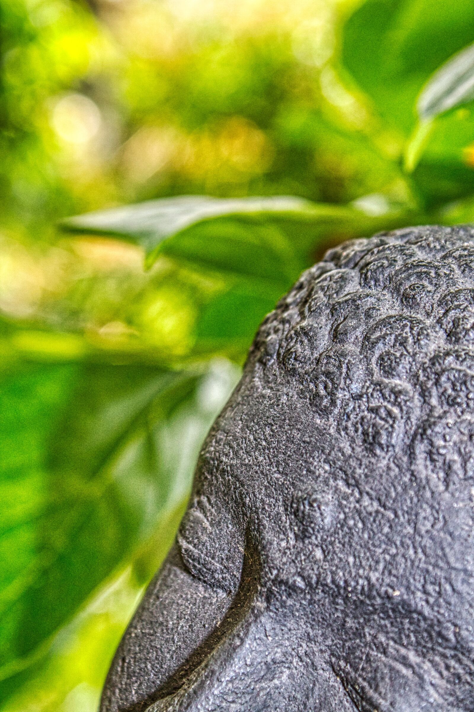 Canon EOS 1100D (EOS Rebel T3 / EOS Kiss X50) sample photo. Statue, zen, prayer photography