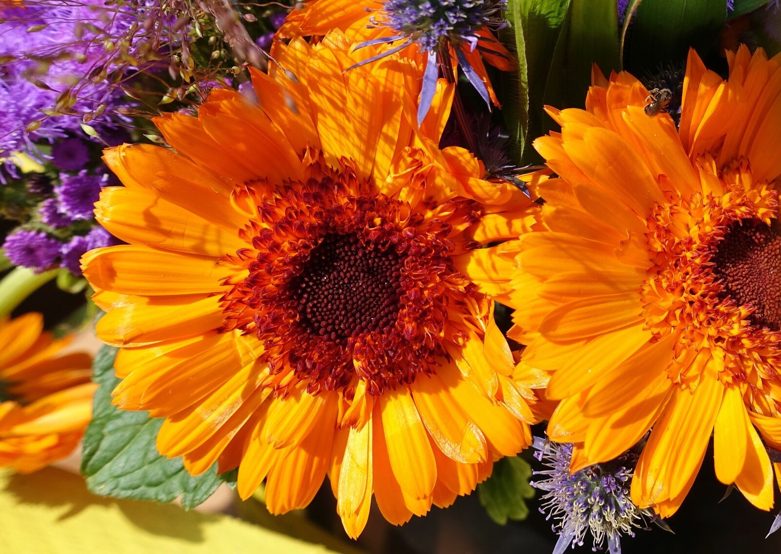 Sony DSC-RX100M5 sample photo. Dahlia, summer flowers, colorful photography