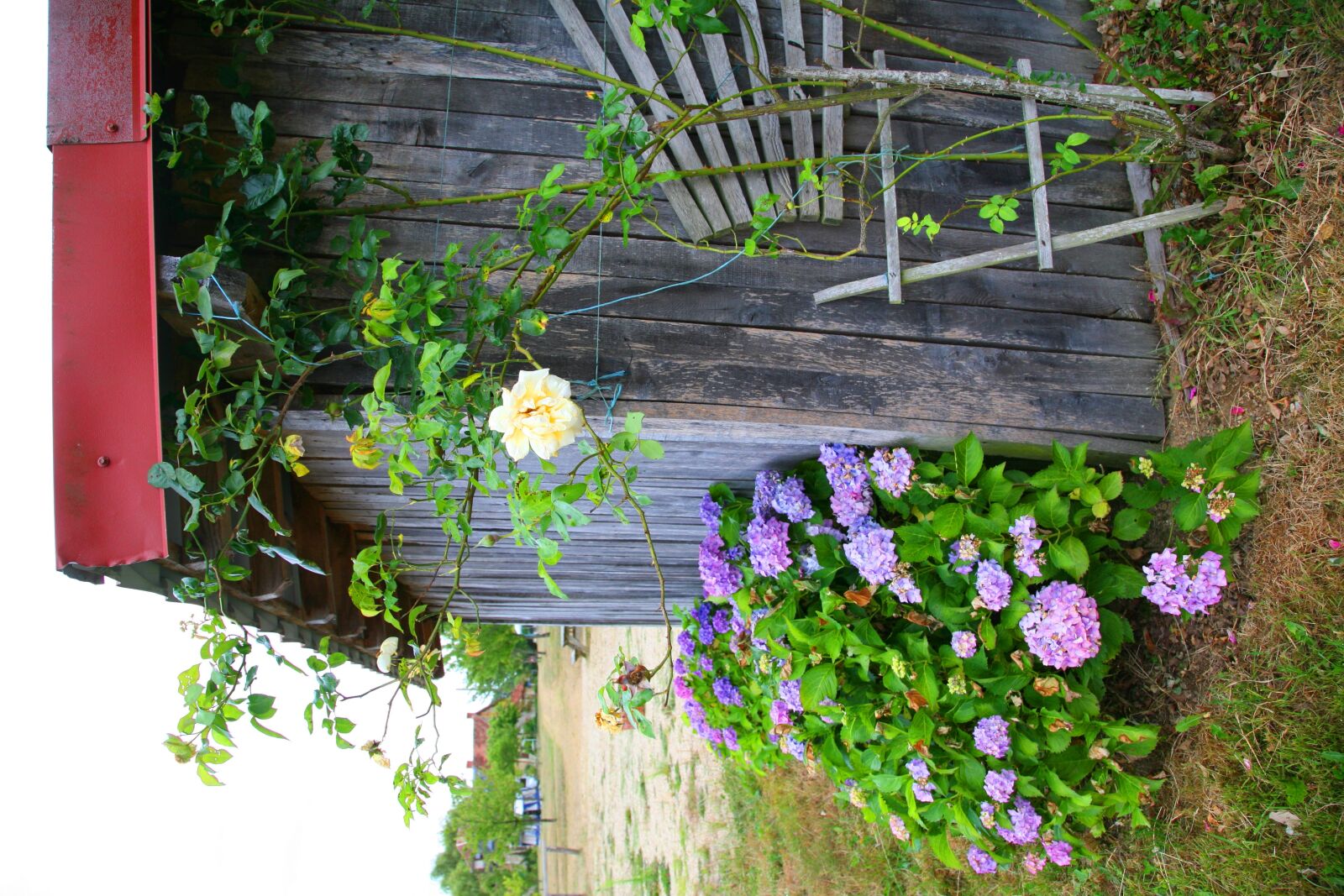 Canon EOS 5D sample photo. Shed photography
