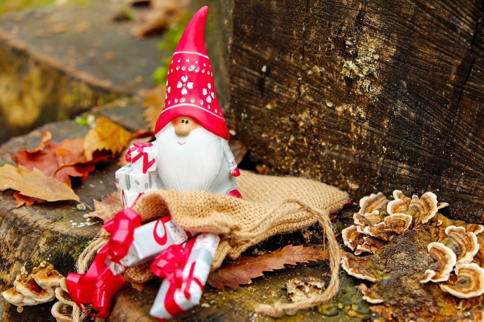 Fujifilm X-T10 sample photo. Santa claus, christmas motif photography