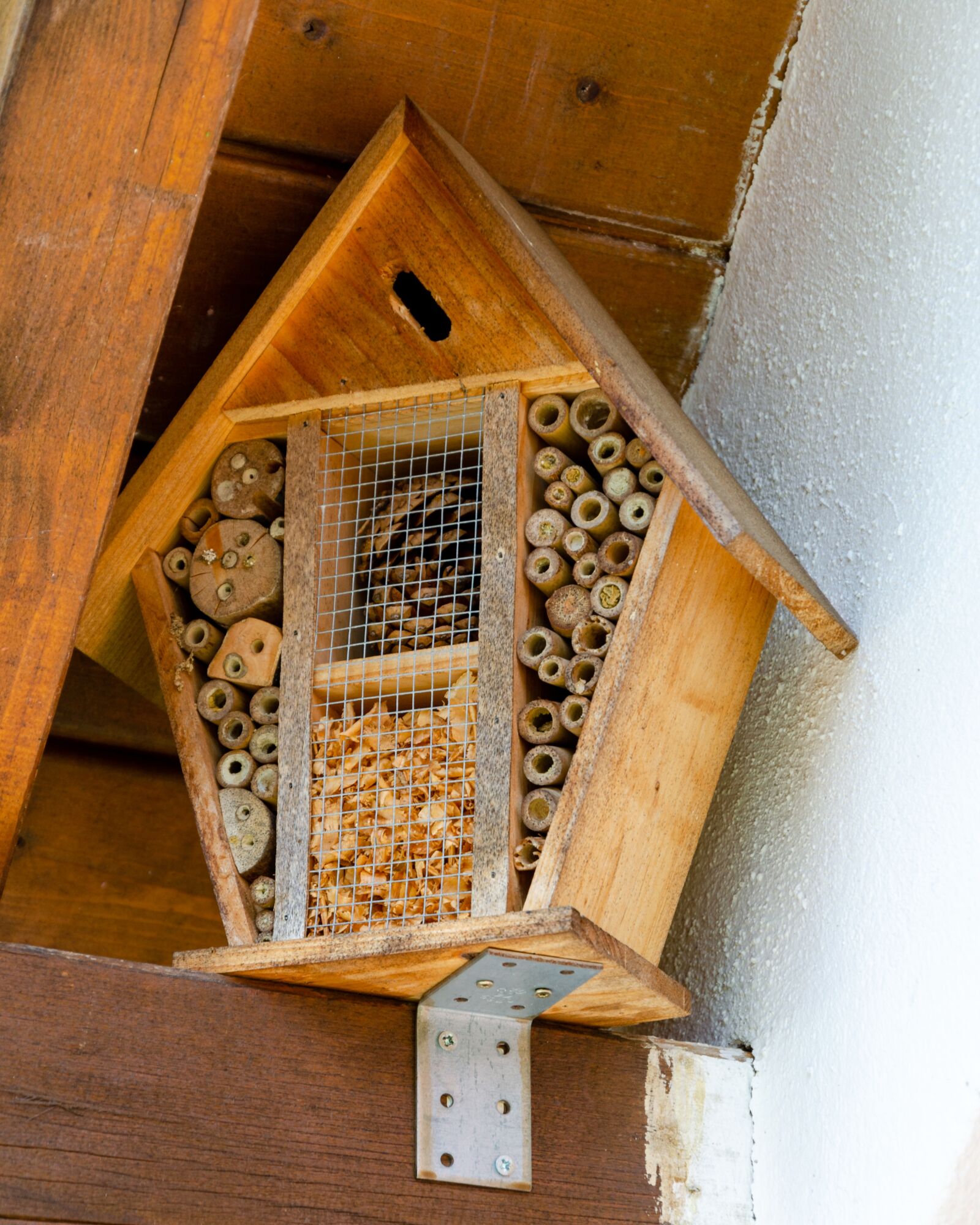 Nikon D5100 sample photo. Insect hotel, insect, insect photography