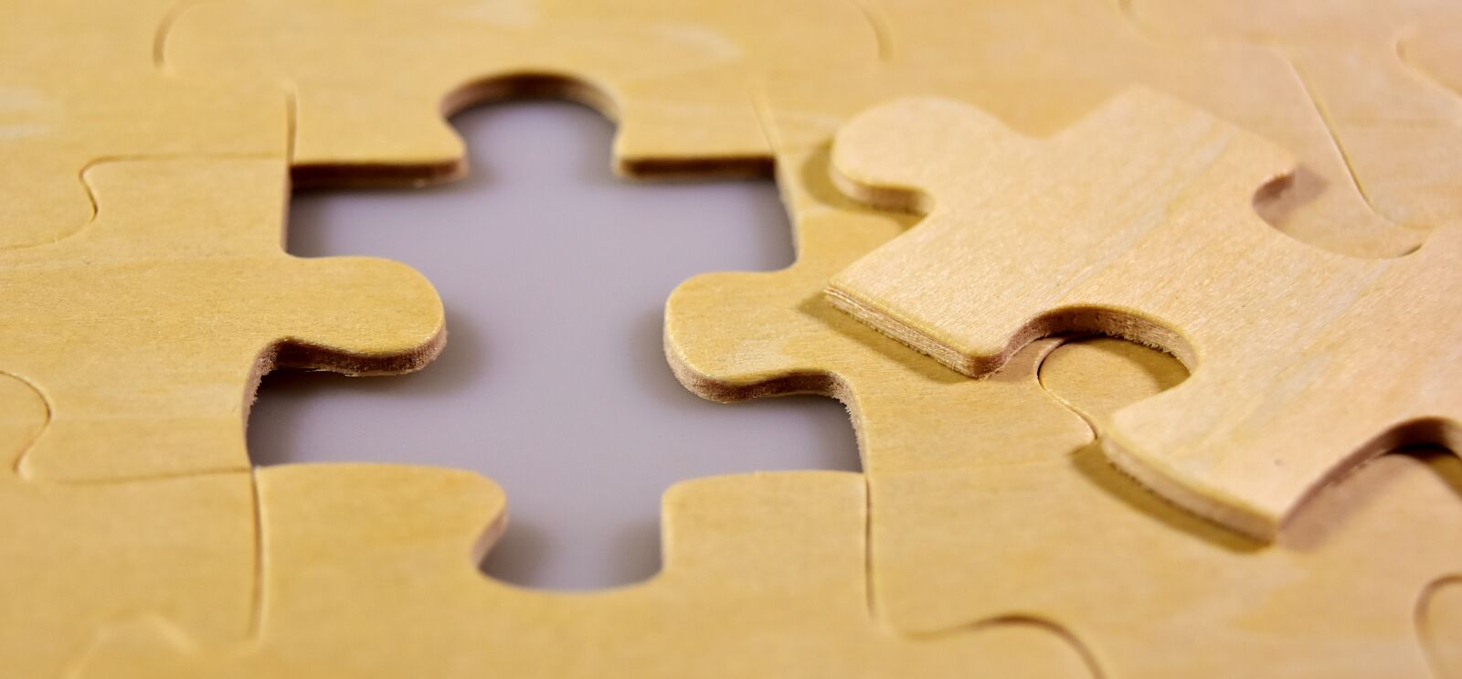 Nikon D7200 sample photo. Puzzle, last part, joining photography