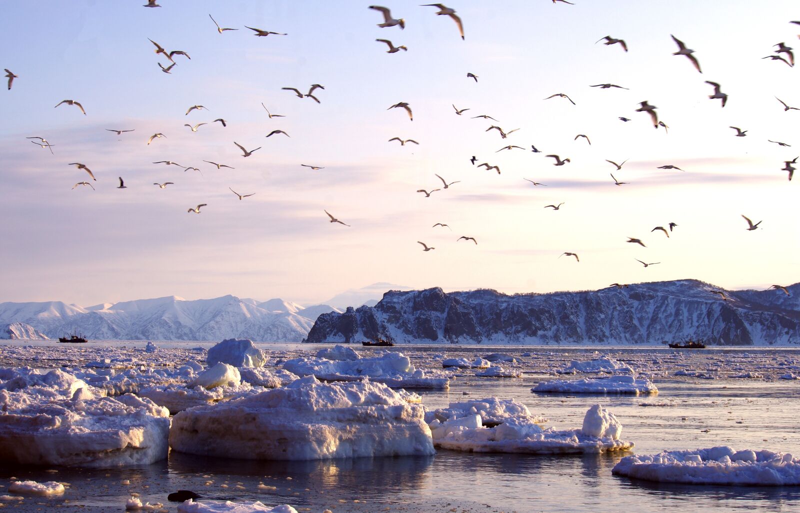 Pentax K-5 sample photo. Bay, ships, ice photography