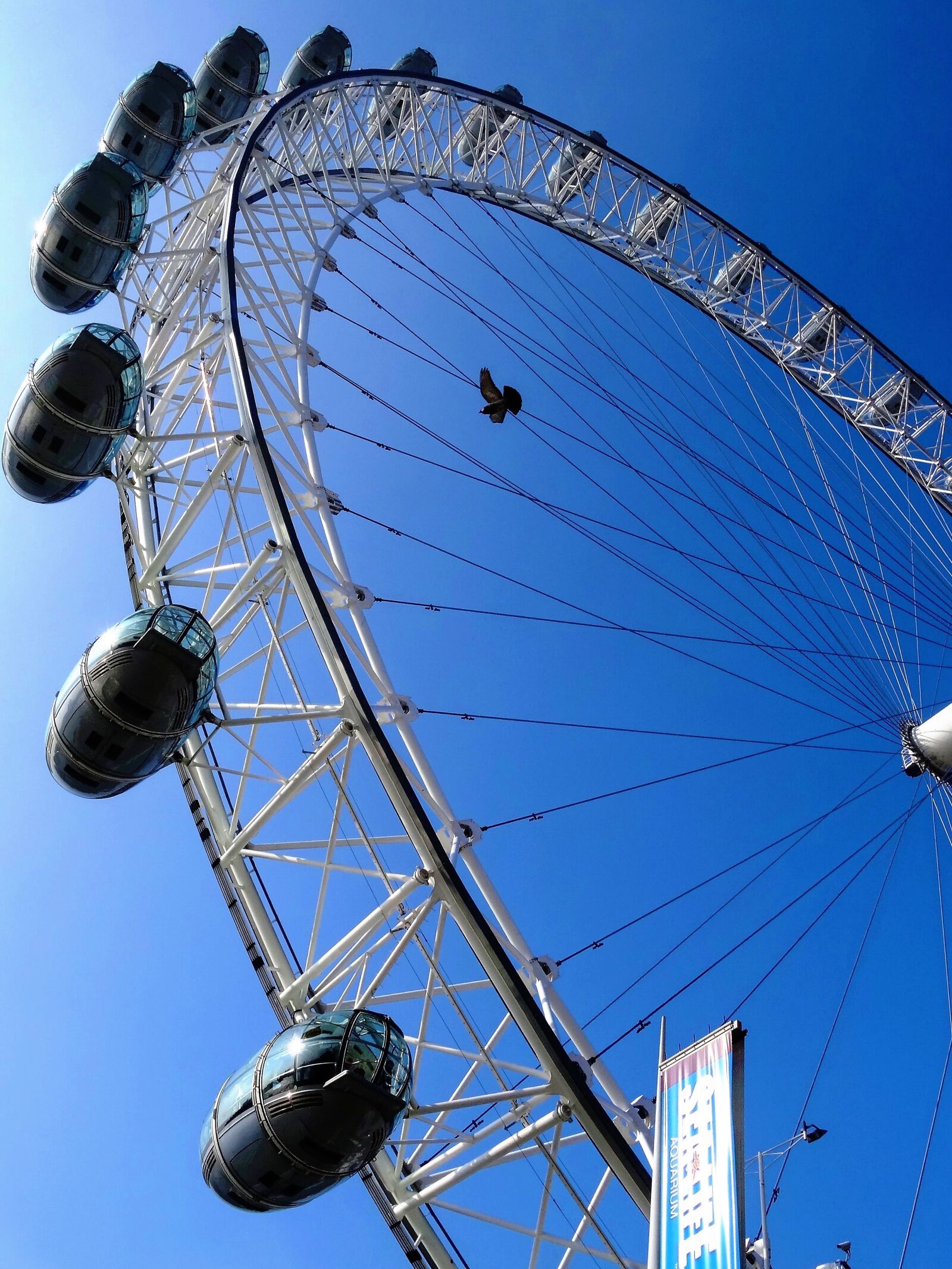 Sony Cyber-shot DSC-HX50V sample photo. London eye, ferris wheel photography
