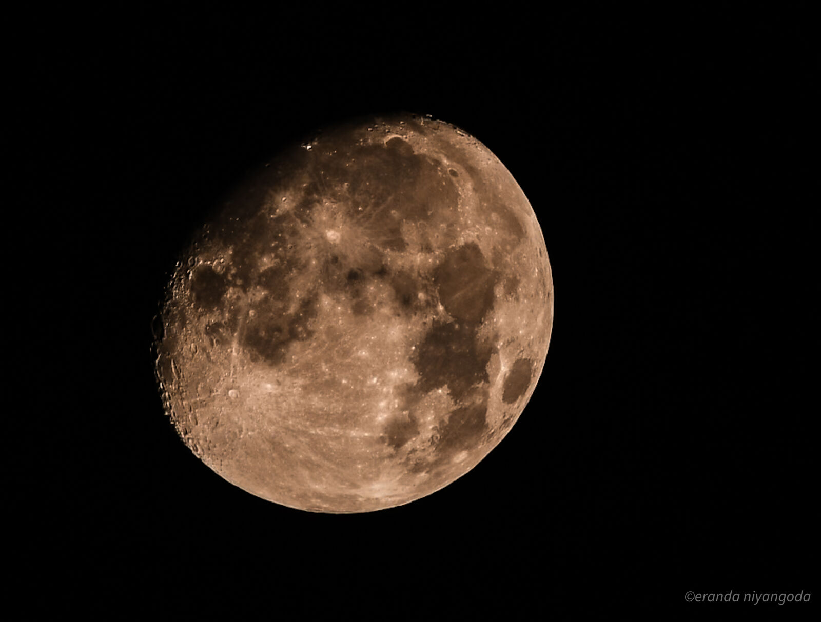 Sigma 100-400mm F5-6.3 DG OS HSM sample photo