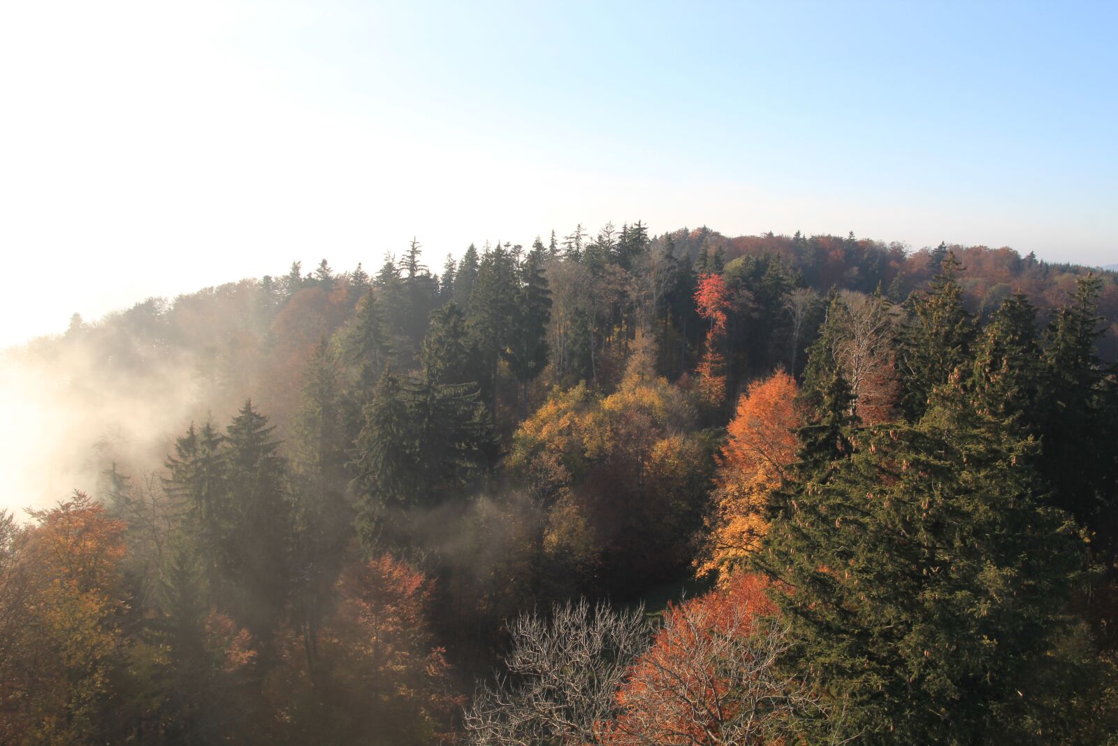 Canon EOS 60D sample photo. Mountain, forest, autumn photography