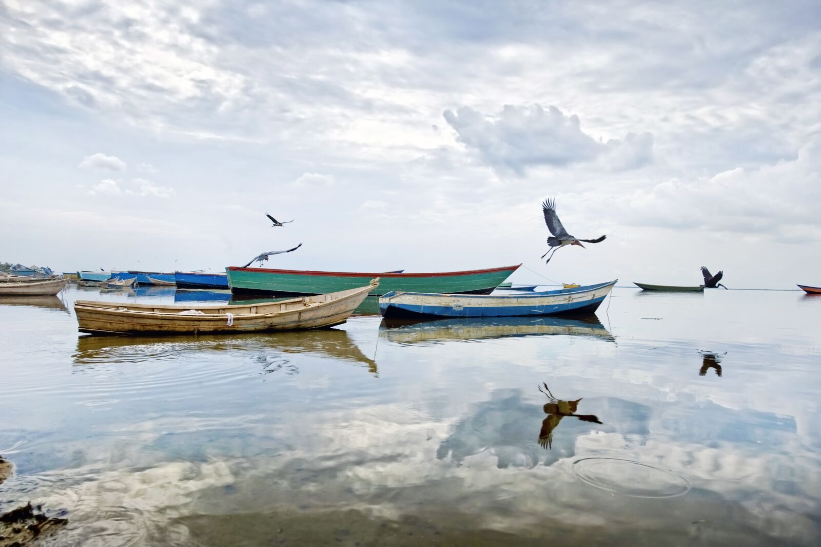Nikon D3 sample photo. Lake albert, uganda, africa photography