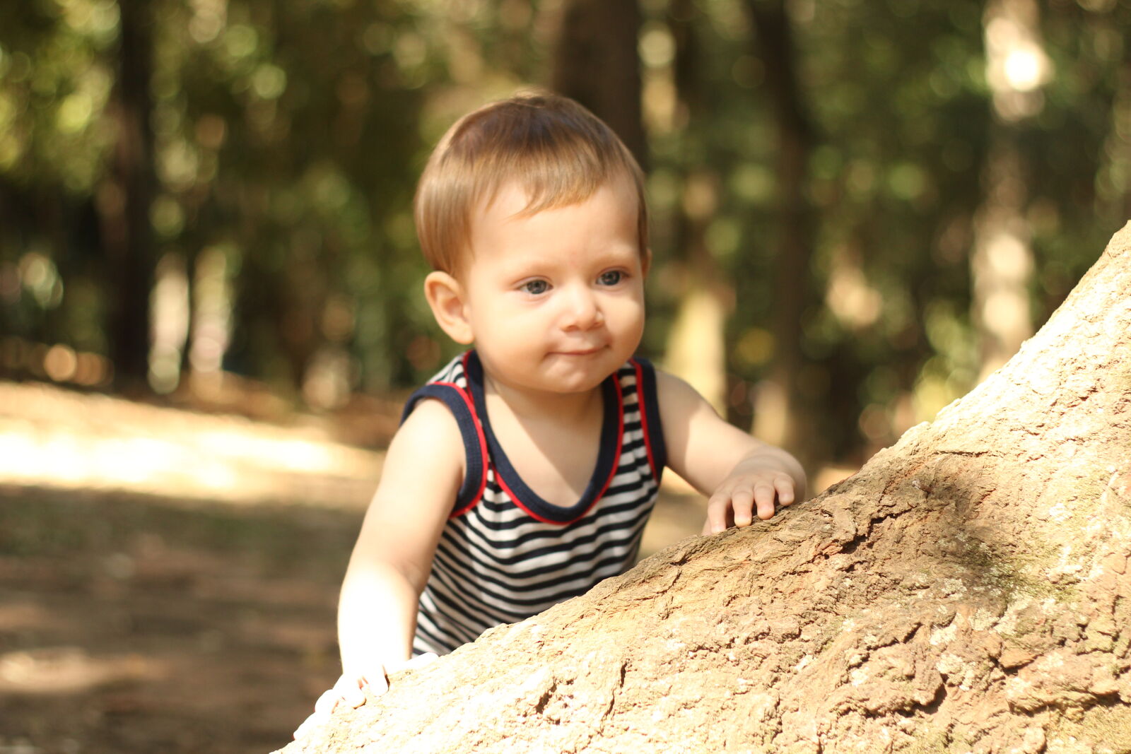 Canon EOS 550D (EOS Rebel T2i / EOS Kiss X4) sample photo. Baby, baby, boy, baby photography