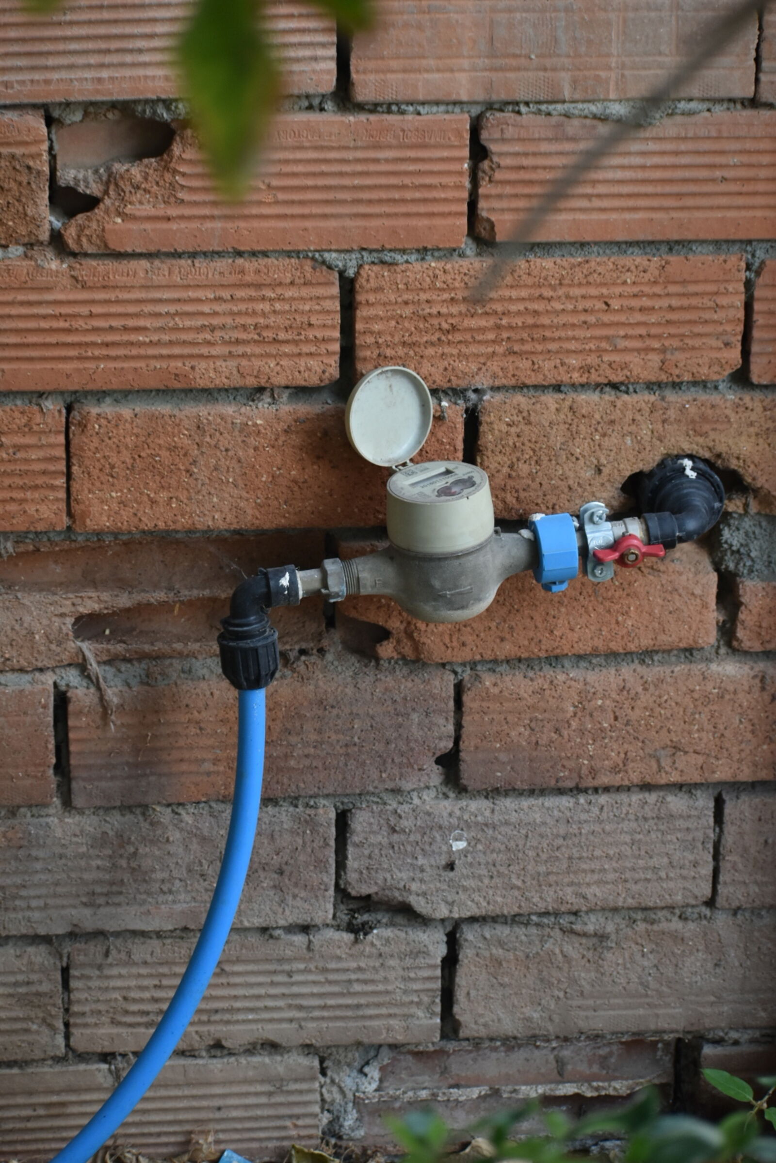 Nikon D5600 sample photo