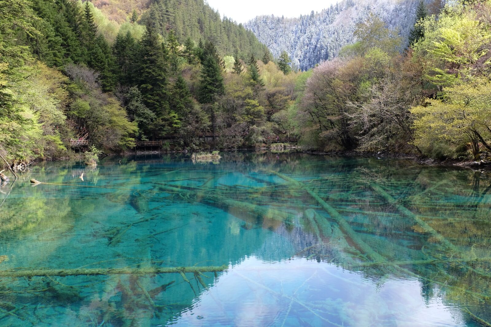 Fujifilm X100T sample photo. Jiuzhaigou, lake, sichuan photography