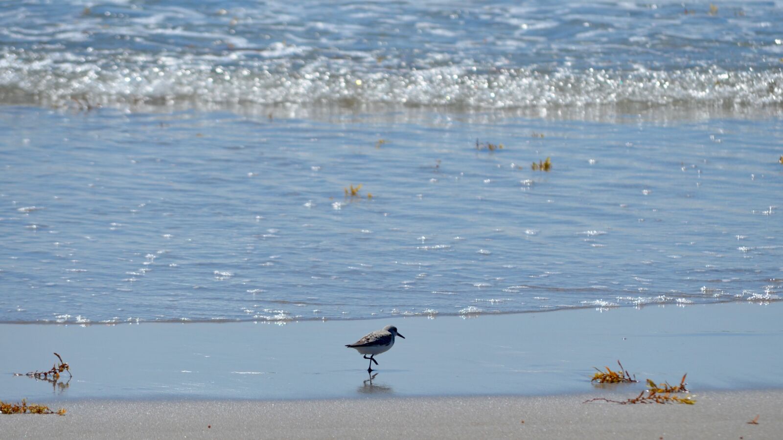 Nikon D5100 sample photo