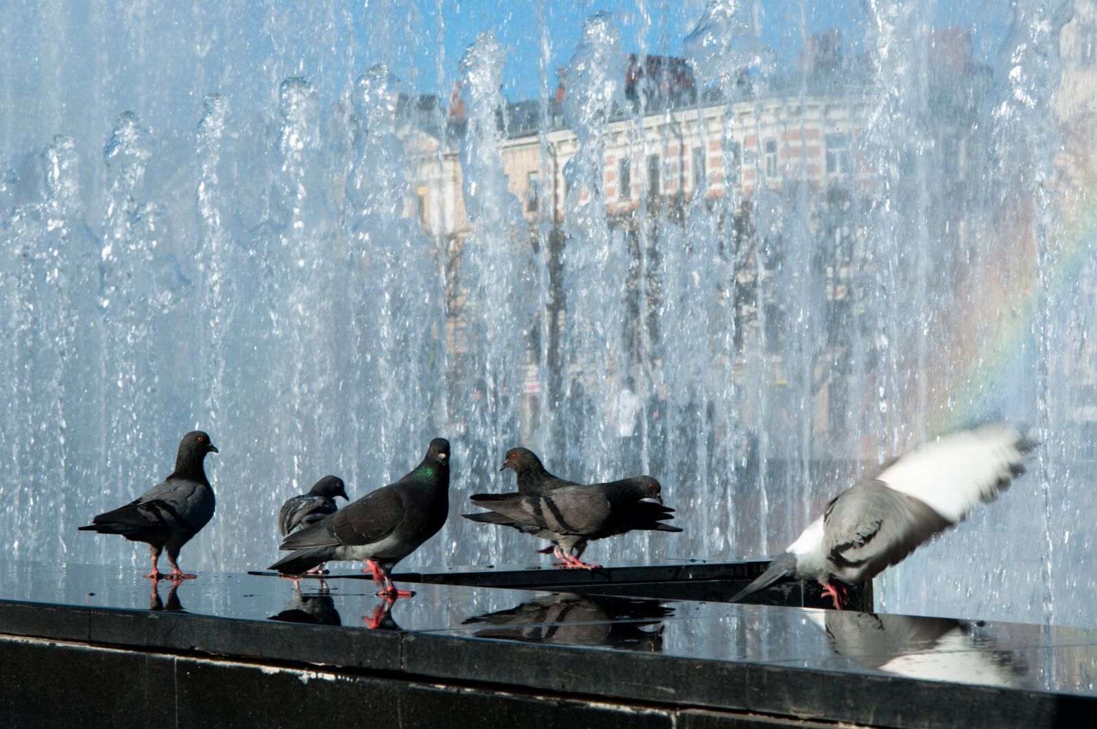 Nikon D300S sample photo. Fountain, rainbow, sky photography