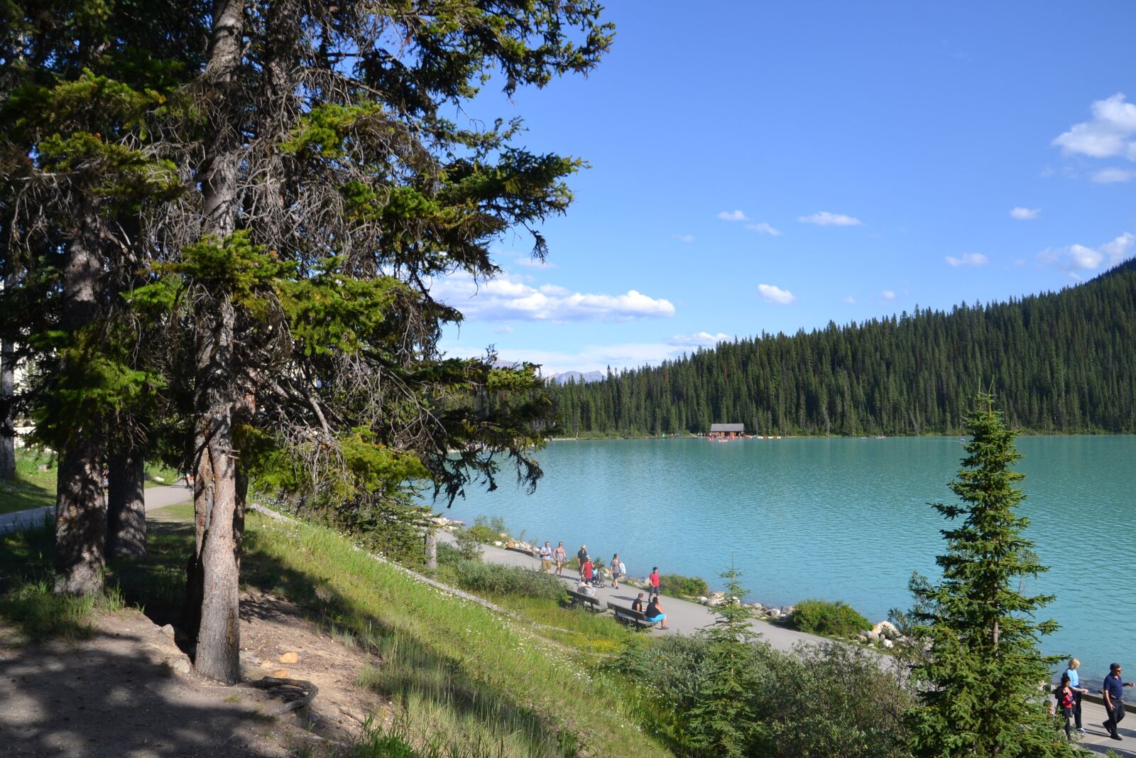 Nikon D3100 sample photo. Scenery, lake, landscape photography