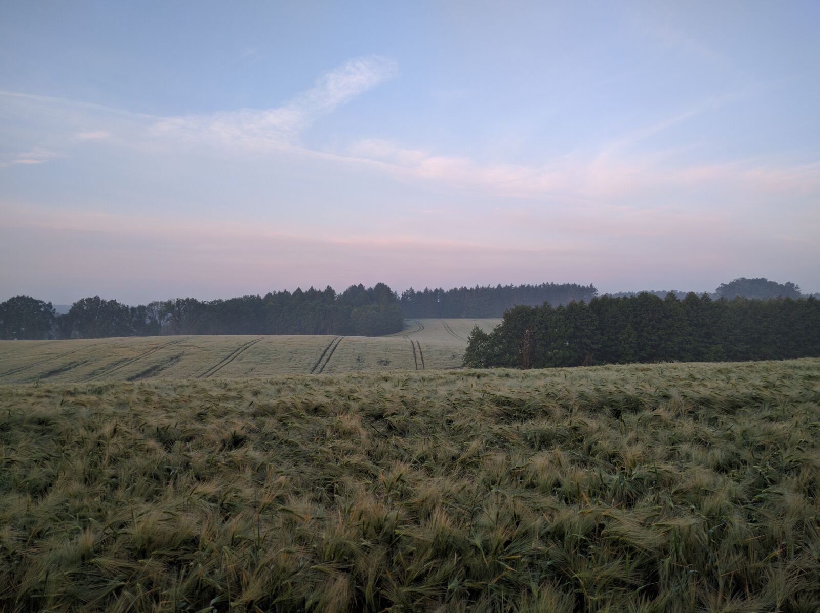 Google Nexus 6P sample photo. Countryside, farm, farmland photography