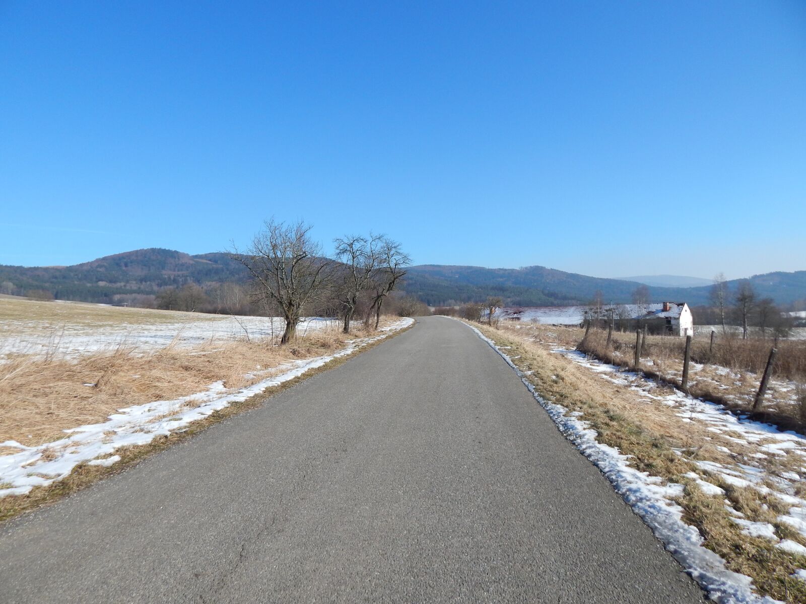Nikon Coolpix L820 sample photo. Path, trees, landscape photography