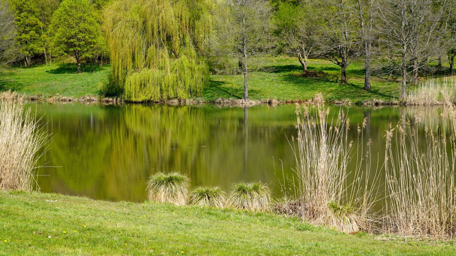 Sony E PZ 18-105mm F4 G OSS sample photo. Lake, water, grass photography