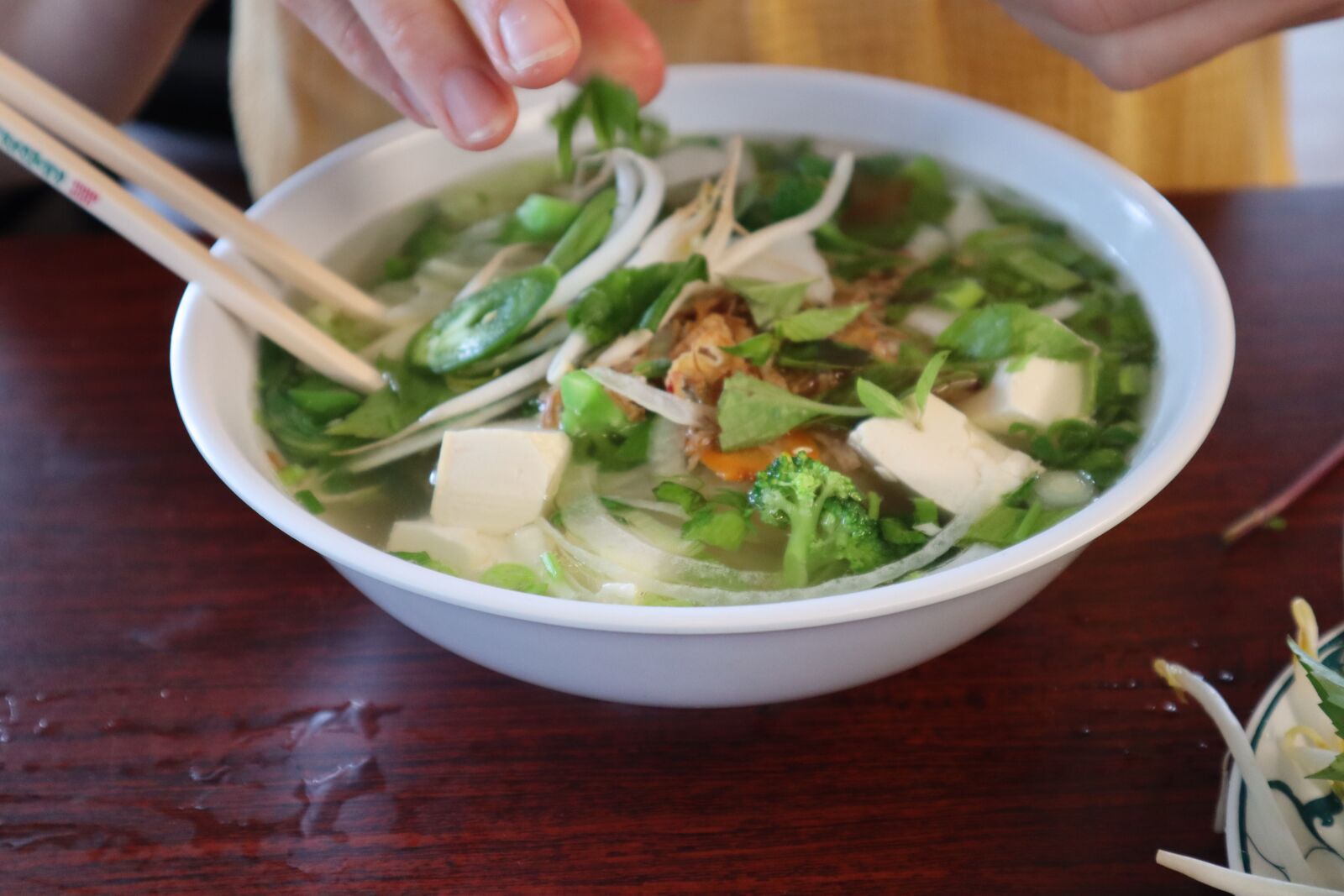 Canon EOS M50 (EOS Kiss M) sample photo. Vietnamese, pho, noodles photography