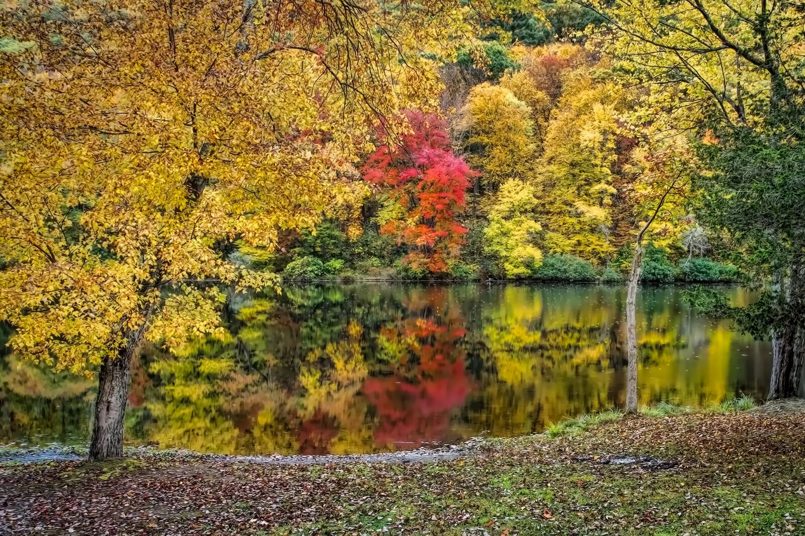 Canon EOS 7D sample photo. Trees, water, fall foliage photography