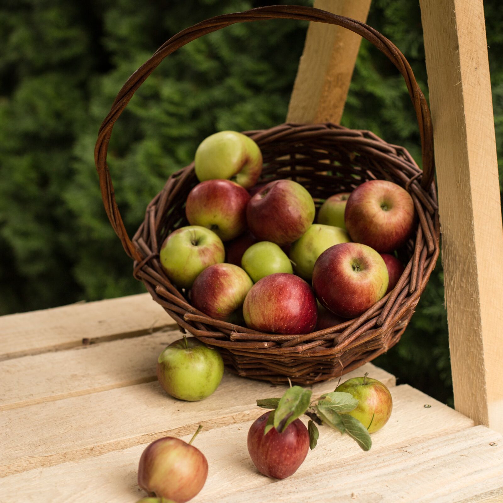 Canon EOS 6D + Canon EF 50mm F1.4 USM sample photo. Apple, red, fruit photography