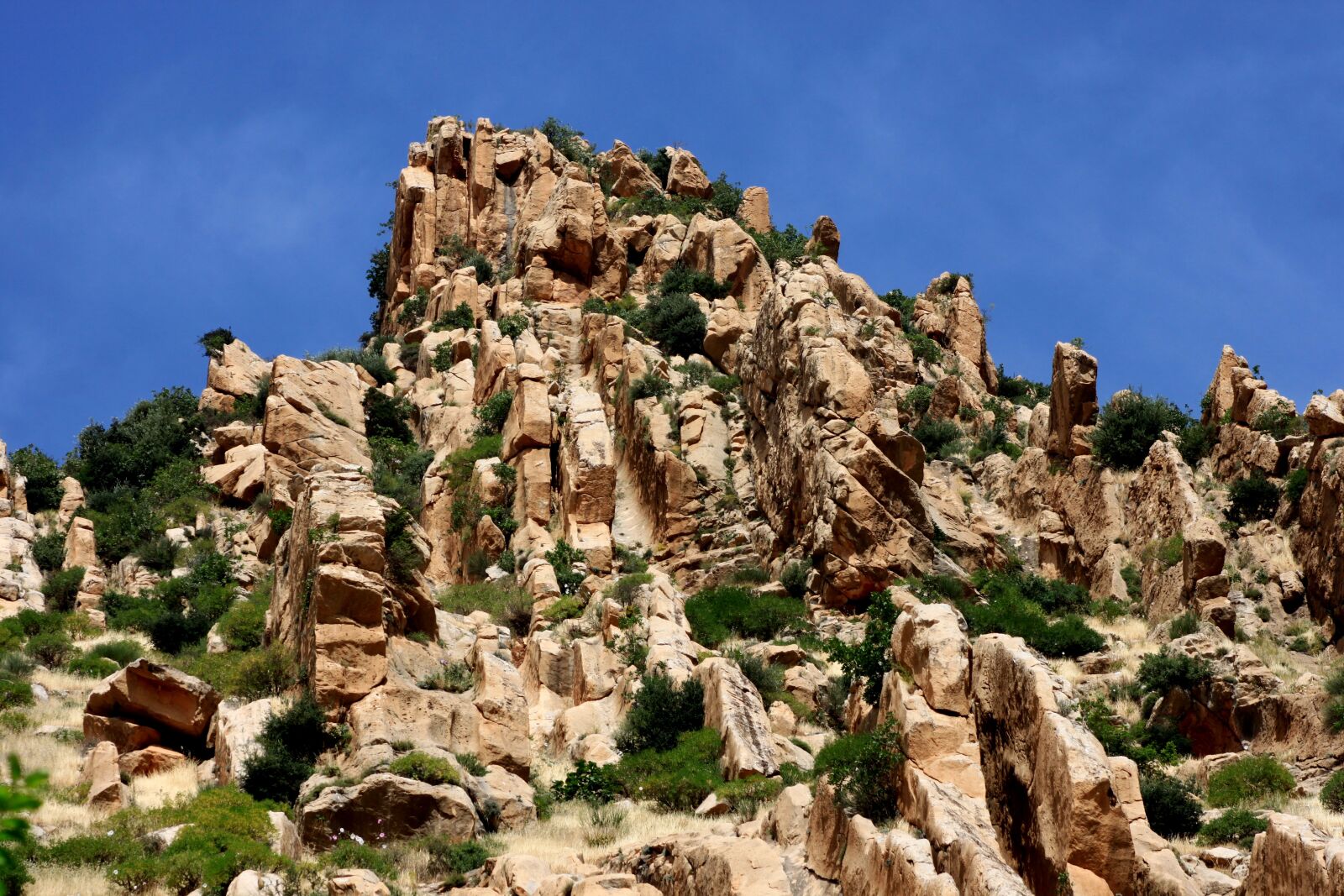 Canon EOS 500D (EOS Rebel T1i / EOS Kiss X3) sample photo. Mountain, rocky, nature photography