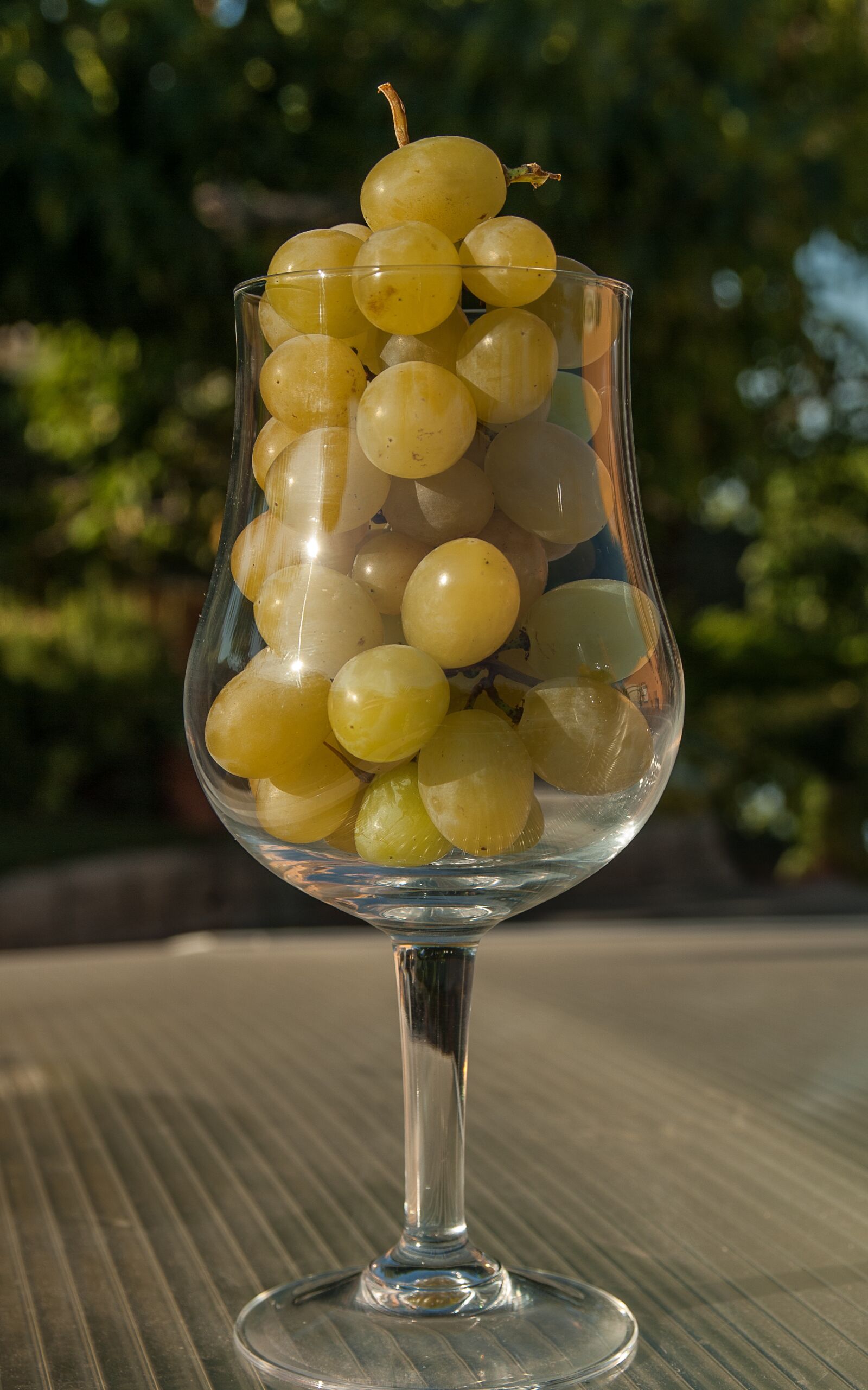 Pentax K10D sample photo. White grape, glass, harvest photography