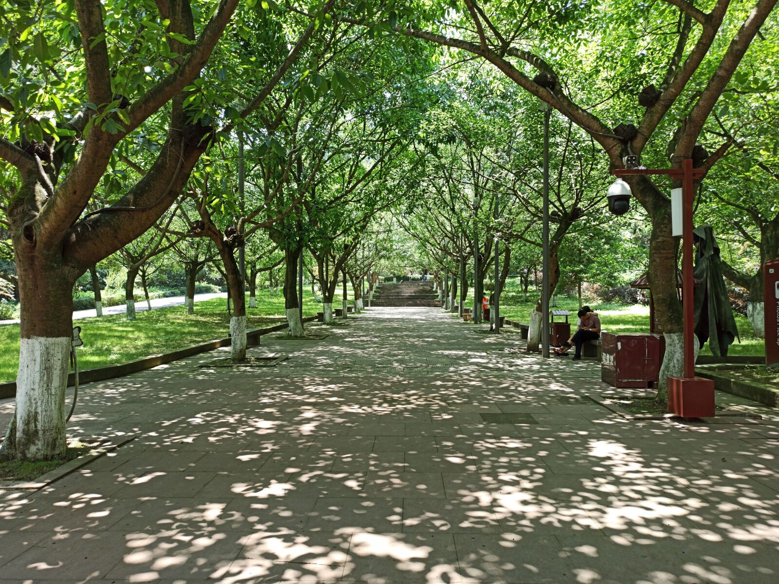 Xiaomi Redmi Note 8 Pro sample photo
