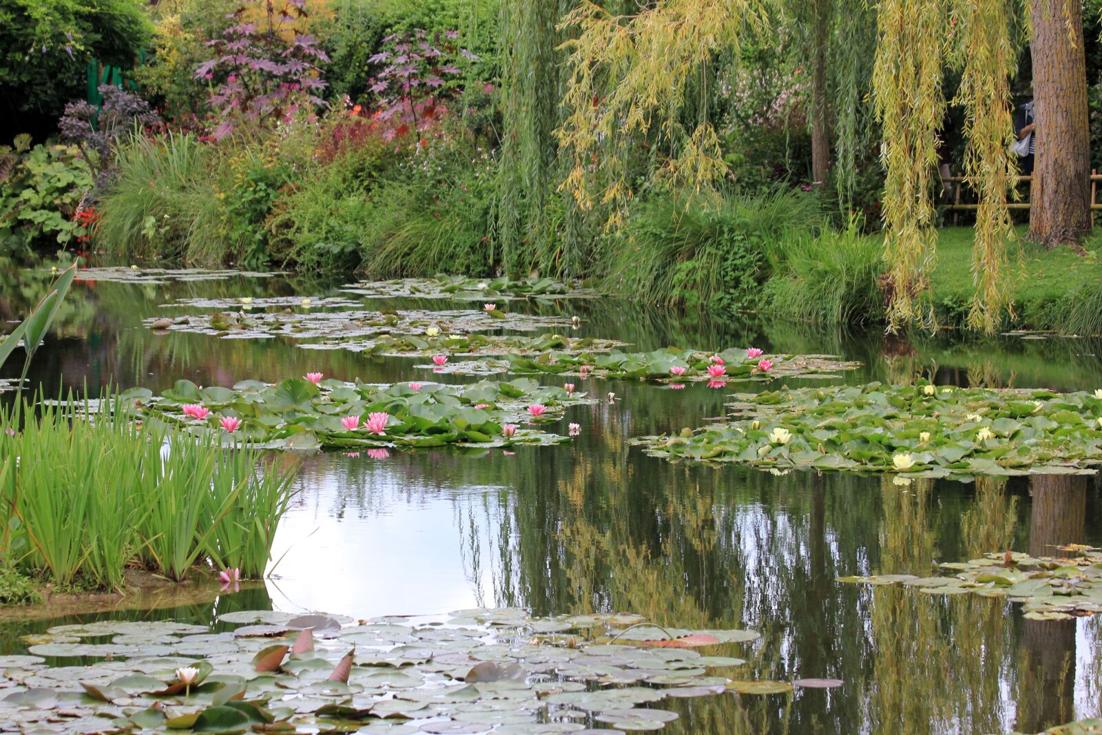 Canon EOS 550D (EOS Rebel T2i / EOS Kiss X4) sample photo. Giverny, lake, garden photography