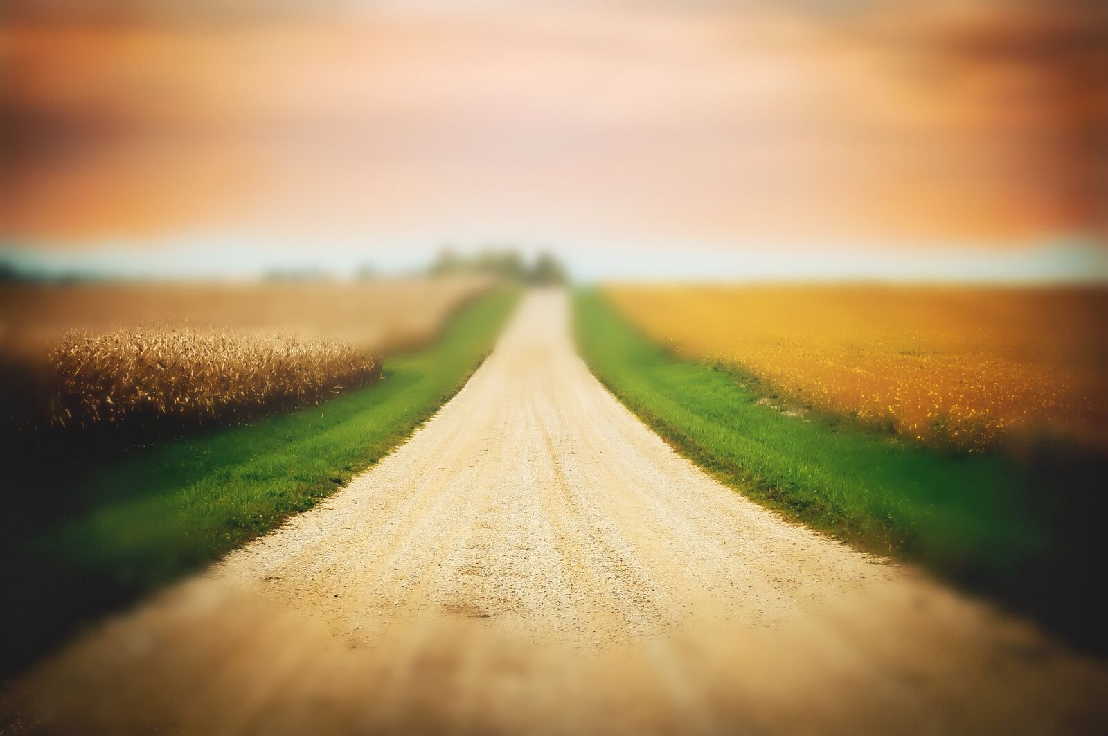 Nikon D5000 sample photo. Road, gravel, landscape photography