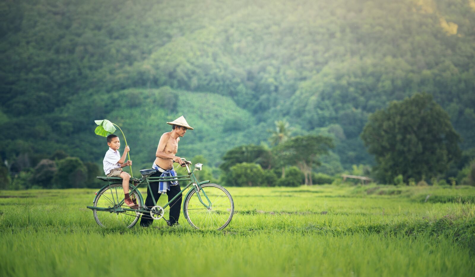 Nikon D810 sample photo. Bicycle, cambodia, outside photography